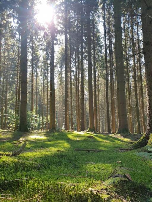 Gite N° 20, En Pleine Nature, Frontalier Signy-le-Petit Zewnętrze zdjęcie